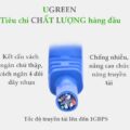 Dây cáp mạng Cat6 UGREEN NW102 cáp tròn màu xanh