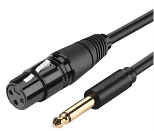 UGREEN 6.35mm to Cannon Female AV Cable 5m (Black)